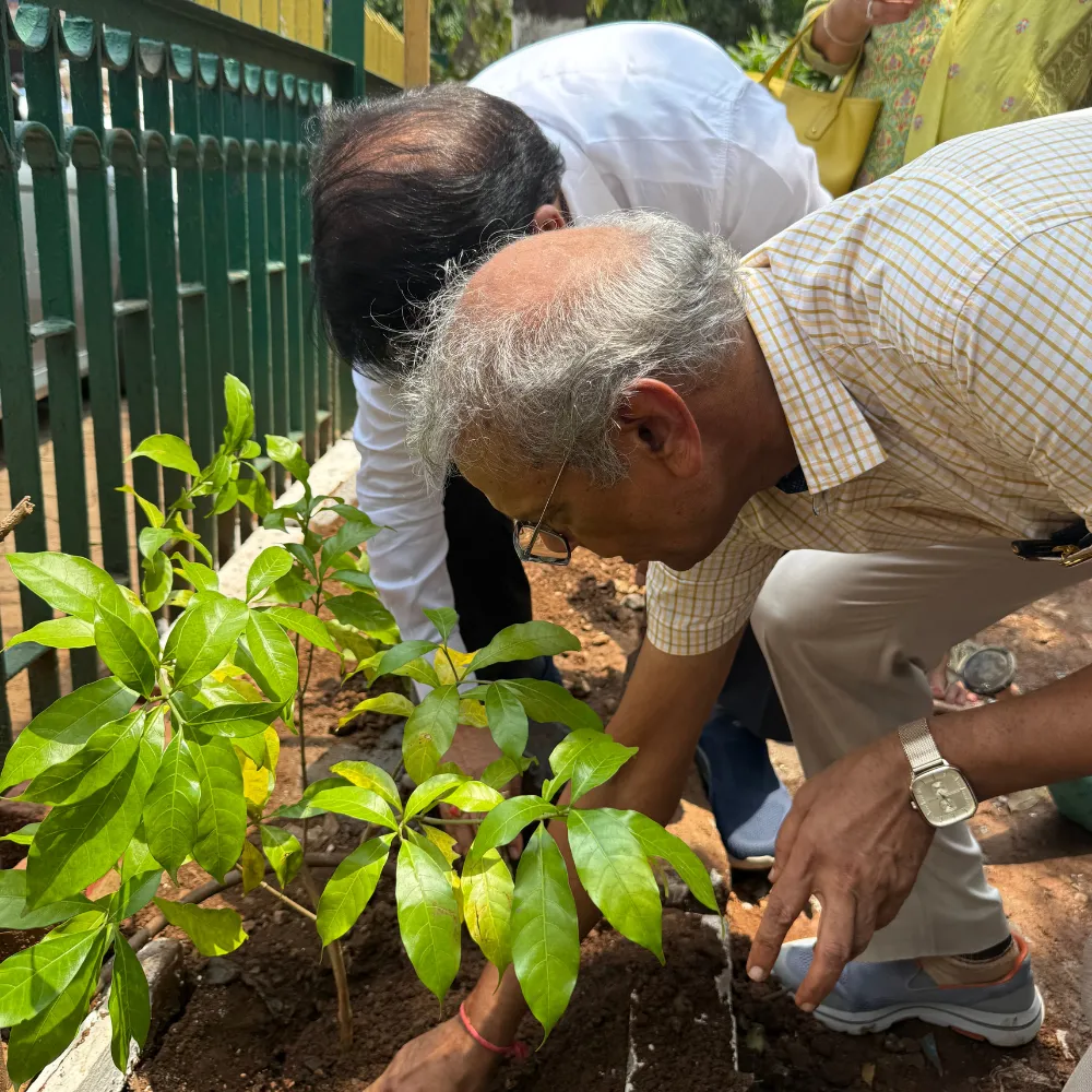 JNPT Urban Forest – Mumbai