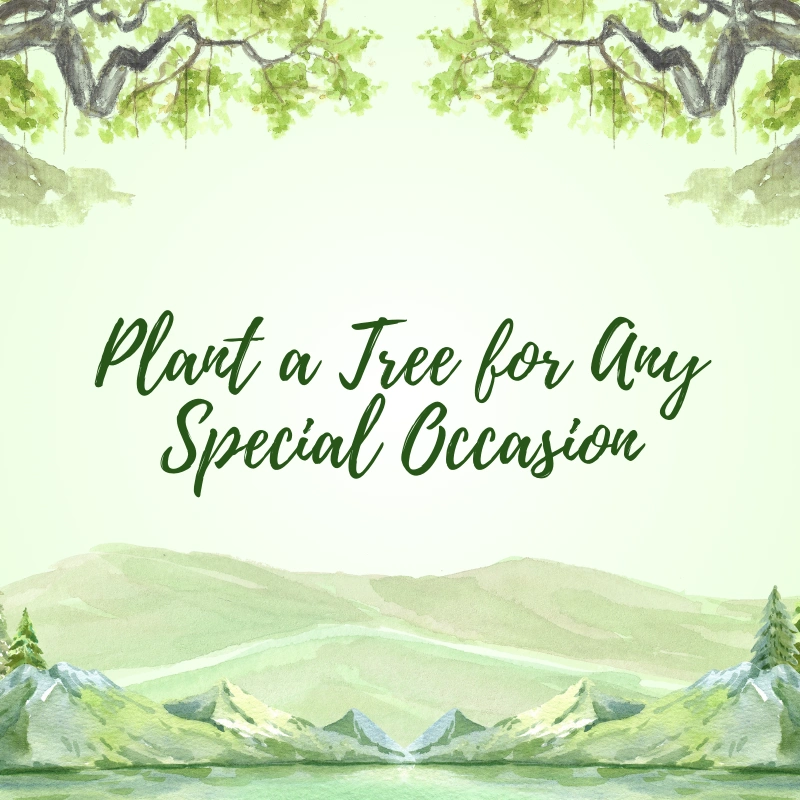 Nature Crusade Plant a Tree for Any Special Occasion Card (1)