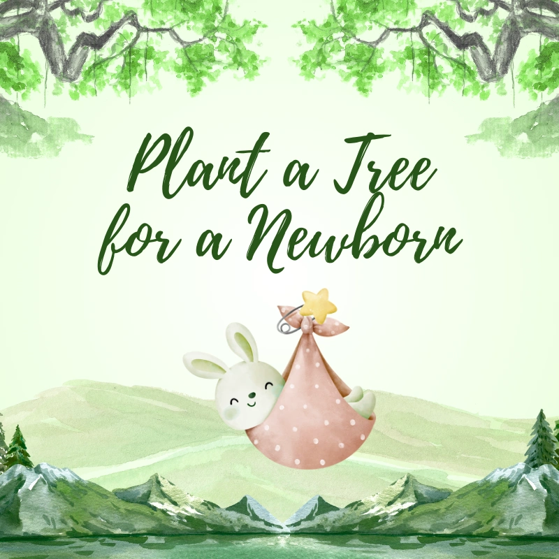 Nature Crusade Plant a Tree for a Newborn Card (1)