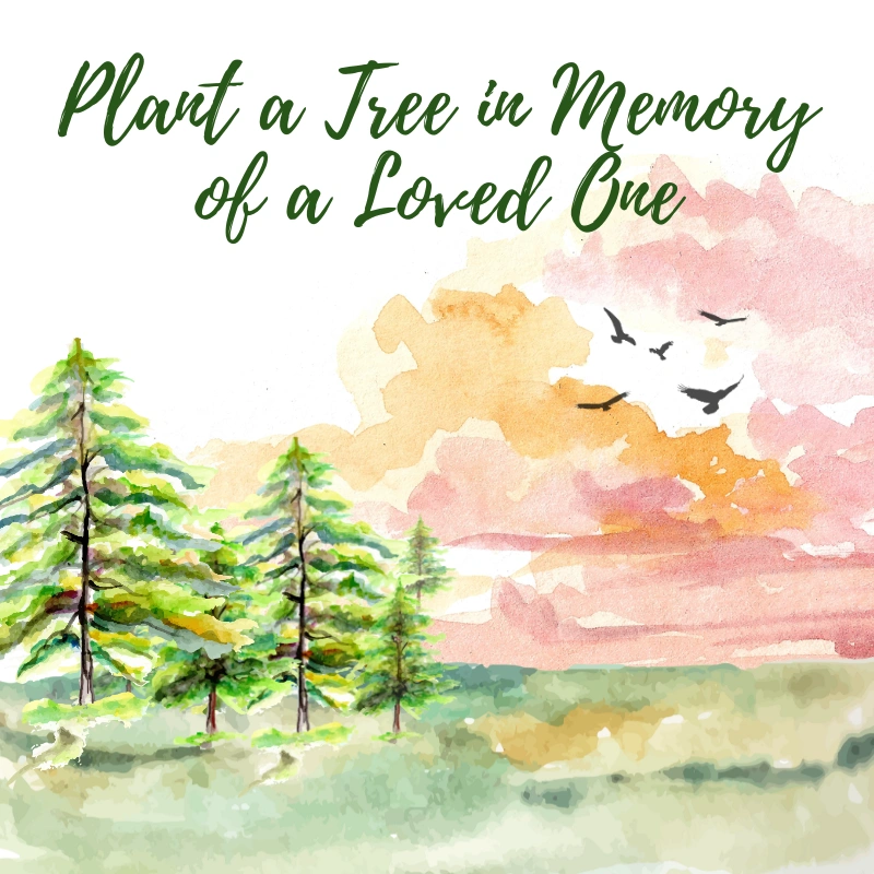 Nature Crusade Plant a Tree in Memory of a Loved One Card