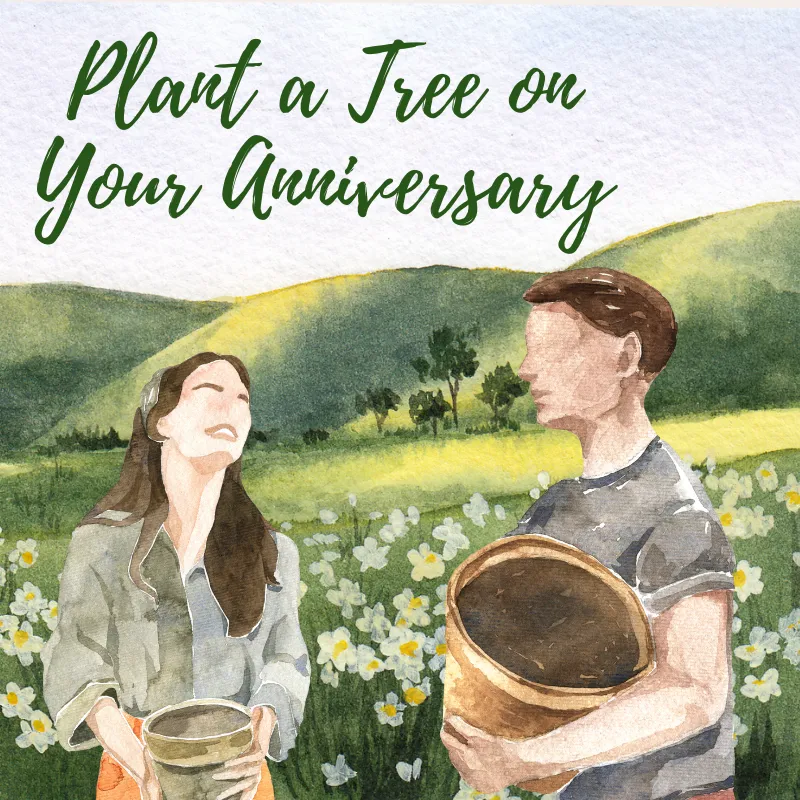 Nature Crusade Plant a Tree on Your Anniversary Card